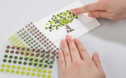 Stalogy Masking Dots - Circular Masking Tape Patches (16mm) 39 Stalogy Masking Dots - Circular Masking Tape Patches (16mm) -Stationery Sale Shop 006 detail gallery 12 1 1