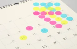 Stalogy Masking Dots - Circular Masking Tape Patches (20mm) -Stationery Sale Shop 006 detail gallery neon calendar 1 1 1