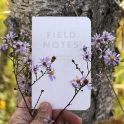 Field Notes Fall Limited Edition Notebooks [Birch Bark 2023] -Stationery Sale Shop FNC60 Birch outdoorD