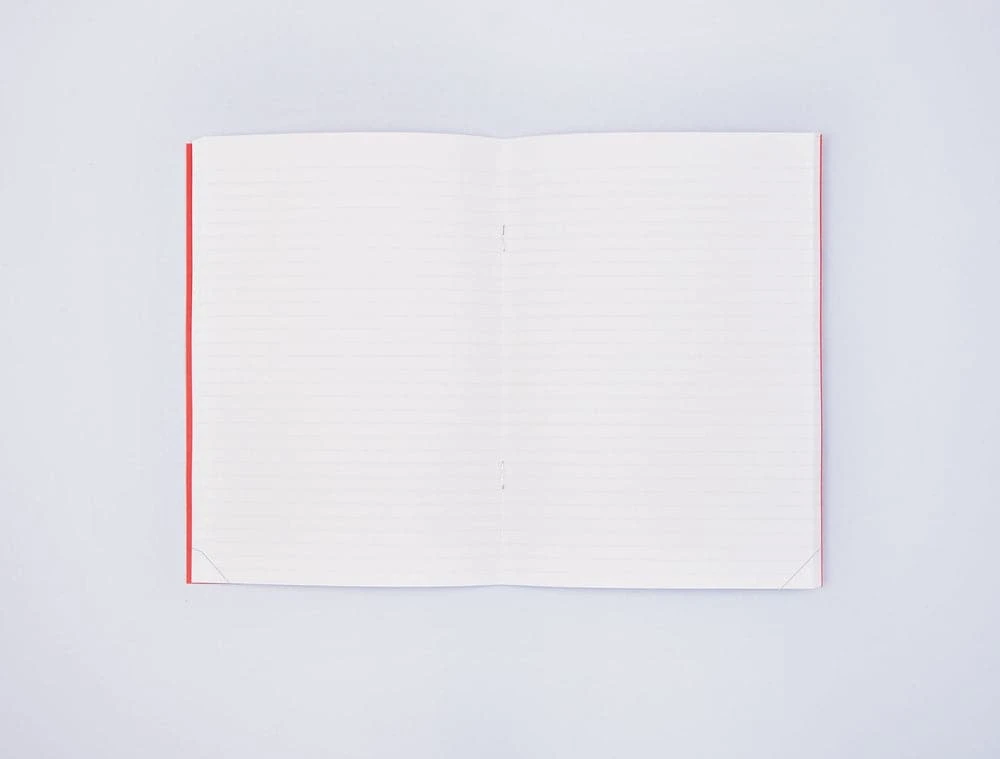 The Completist Giant Rips Daily Journal 3 The Completist Giant Rips Daily Journal - Image 3