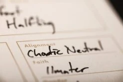 Field Notes 5E Character Journal [2 Pack] -Stationery Sale Shop fn 5e inte