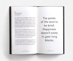 The School Of Life 'Why You Will Marry The Wrong Person' Book -Stationery Sale Shop marry4