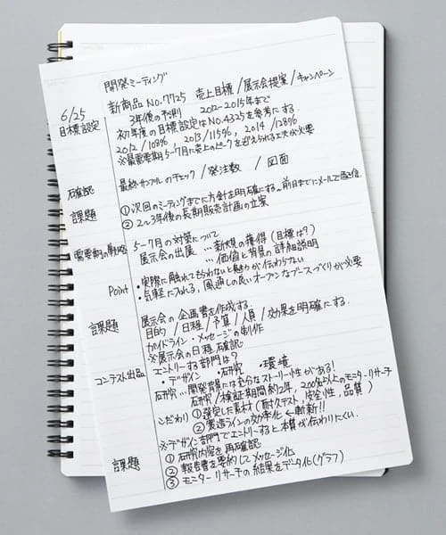 Mnemosyne N199A Notebook A4 Lined 1 Mnemosyne N199A Notebook A4 Lined