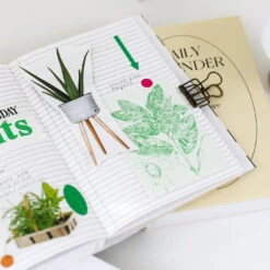 Paperian Daily Reminder 6 Month Planner -Stationery Sale Shop paperian daily reminder 6month linedpages