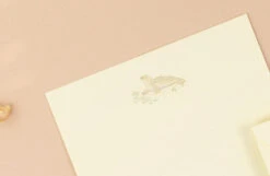 Paperian Letter Set - Sea -Stationery Sale Shop paperian letter set sea harpseal2