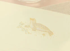 Paperian Letter Set - Sea -Stationery Sale Shop paperian letter set sea hotfoilstamp3