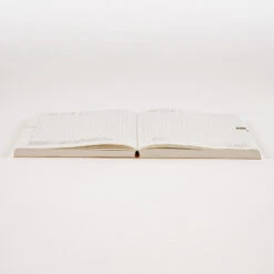 Hobonichi Techo 2024 English Cousin Book A6 [English] -Stationery Sale Shop slide 08 fac2ace0 f841 4a85 84e4 99d6bba042ac