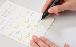 Stalogy Removable Calendar Sticker -Stationery Sale Shop sta cal2